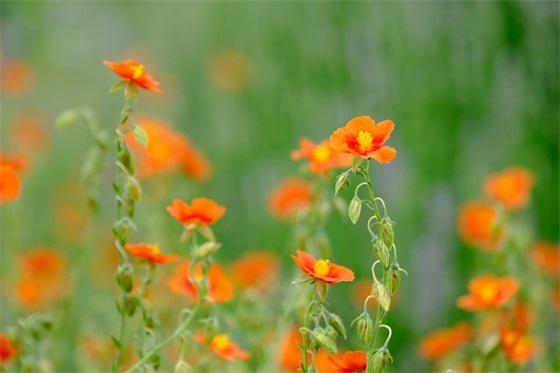 闺蜜吵架伤感语录