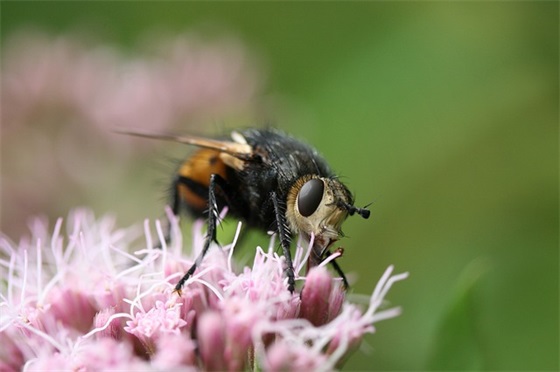 苏格拉底经典语录大全 苏格拉底经典语录