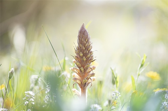 有品味女人的经典语录 聪明女人这样发朋友圈