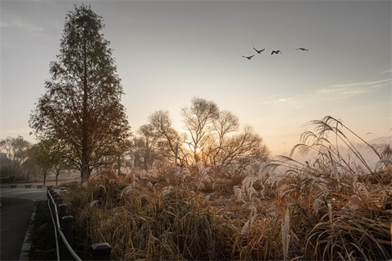90后的经典语录 90后真的老了经典语录