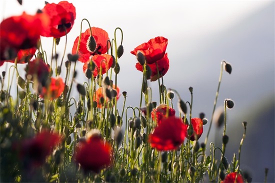 世界名人金句经典语录