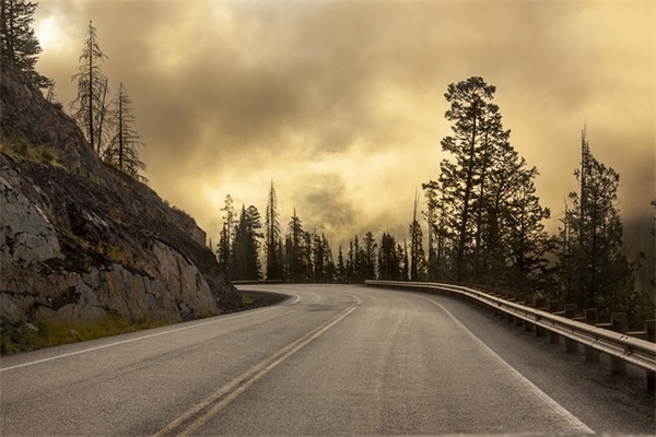 格列佛游记经典语录41句