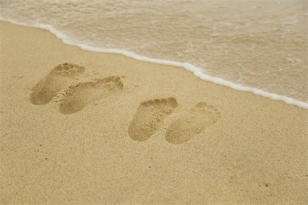 白岩松语录 白岩松说过的经典语句