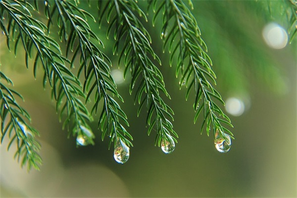 和平分手的伤感语录 分手伤感语录