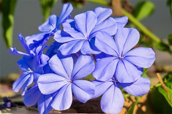 微不足道的说说语录