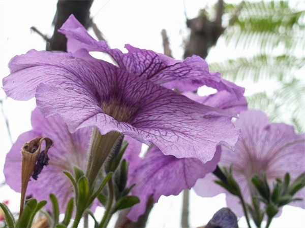 离别伤感的语录 伤感语录 痛到心里