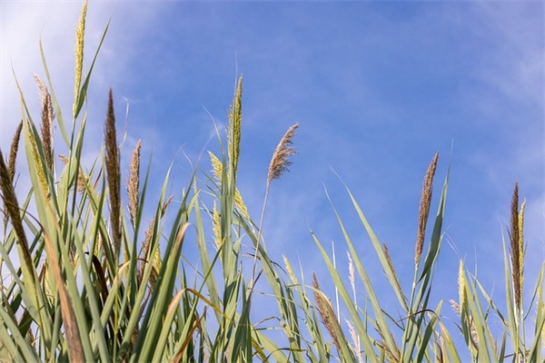 早上励志文案语录 早安励志语录