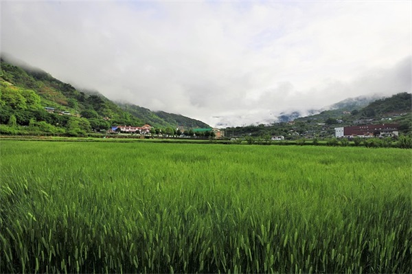 霸气一句话经典语录100句