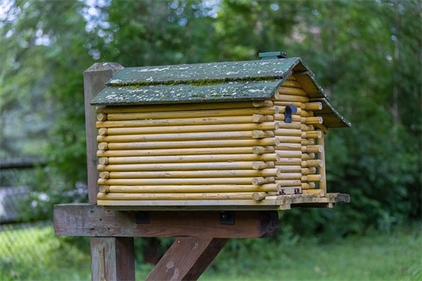 徐铮搞笑语录62句