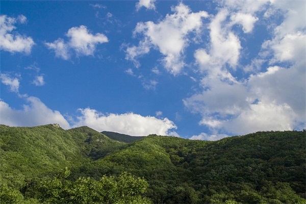 孟洛川经典语录34句