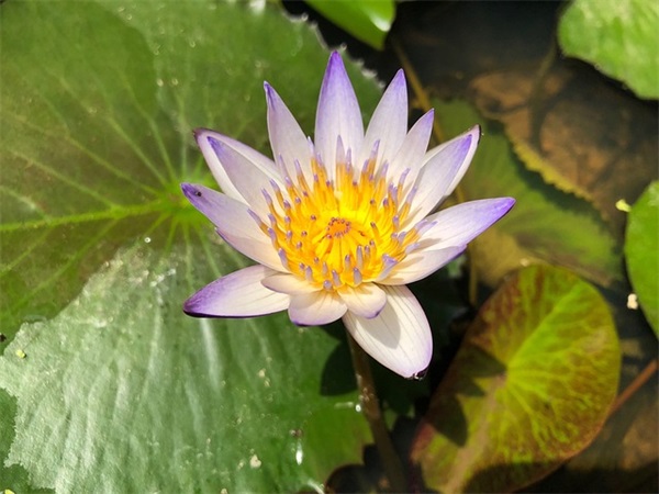 让自己开心的经典语录 让自己开心别人生气的语句