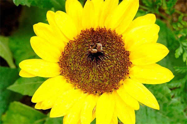 励志午安语录摘录