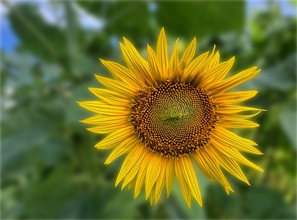 分手那天的心情语录