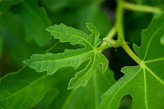 女生分手伤感说说 经典虐心伤感语录