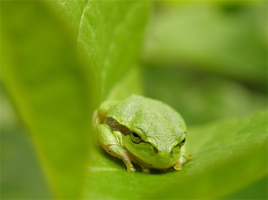 关于描写开学的句子文案 描写开学的文案(精选71句)