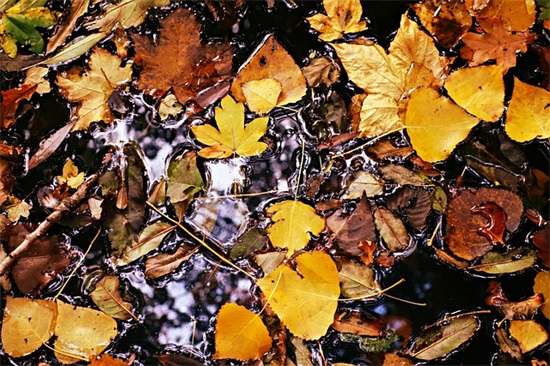 春分节气问候短信