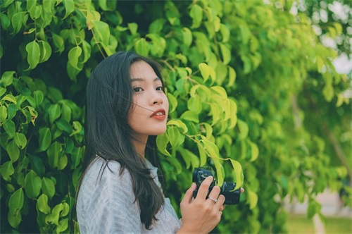 写母亲的诗句25句