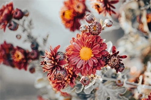 描写迎春节的诗句22句