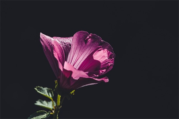 幽默祝福短语92句