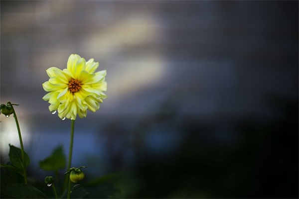 中秋节祝福情人短信101句