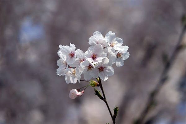 三十公里开车要多久