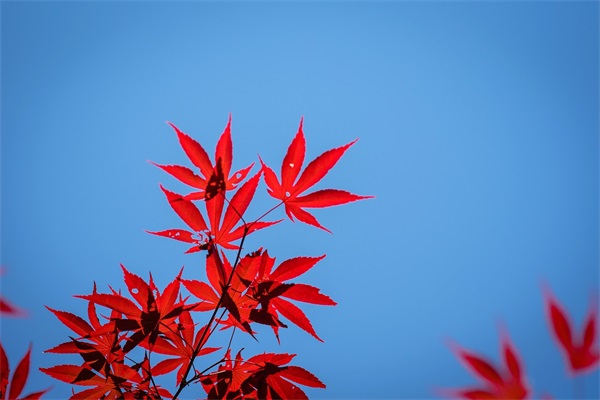 我想搜个好听的网名
