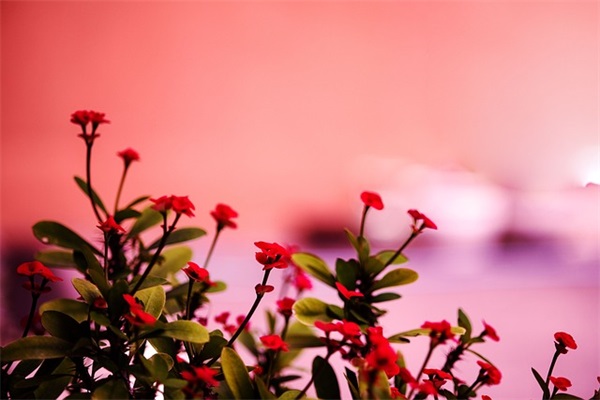 给爸爸的中秋节短信86句