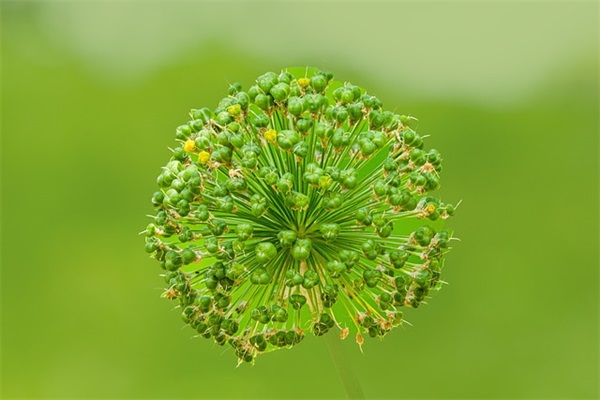 儿童节英文祝福短信
