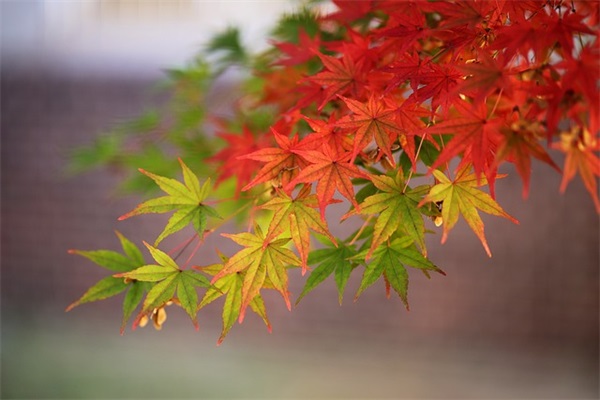 五一节短信80句 五一节短信80句