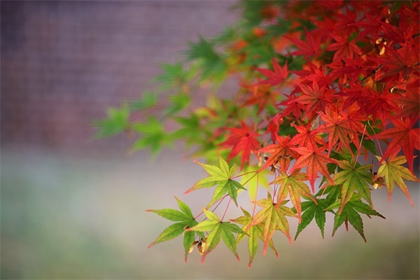 愚人节超搞笑短信81句 愚人节超搞笑短信81句