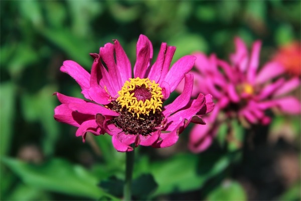 父亲节节日祝福短信80句