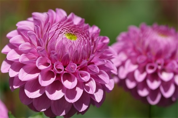 6.1儿童节节日短信81句 6.1儿童节节日短信81句