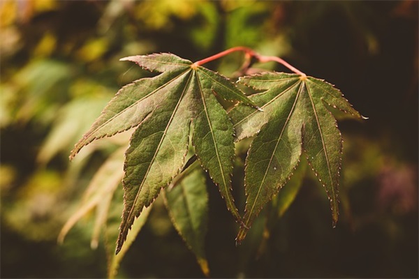 愚人节发给员工的短信83句 愚人节发给员工的短信83句