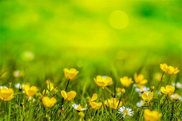 6.1儿童节手机短信80句 6.1儿童节手机短信80句