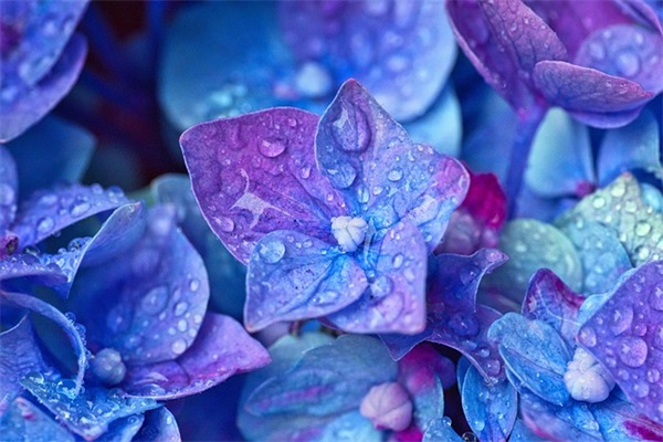 搞笑祝福短信大全88句 搞笑祝福短信大全88句
