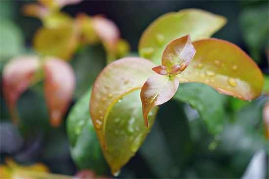 教师节搞笑短信大全82句