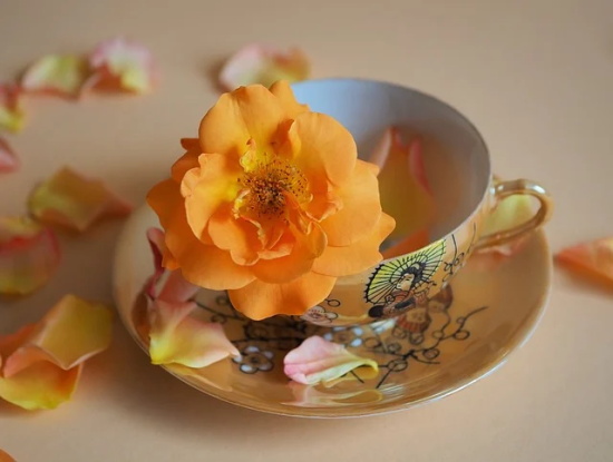 俏皮话顺口溜短句 喝酒俏皮话顺口溜(精选53句)