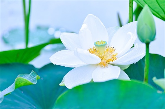短篇散文精选范例6篇 短篇散文精选范例6篇